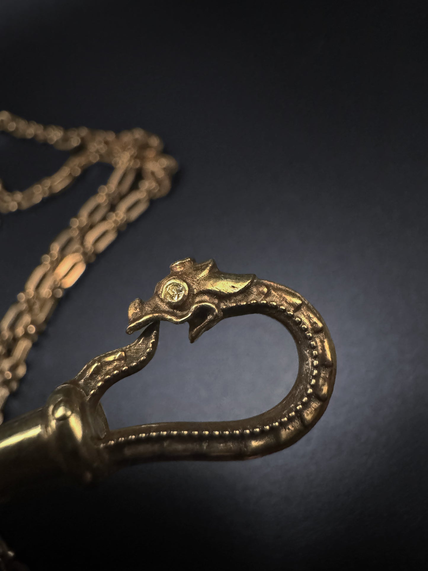 Ouroboros Single Snake Clip